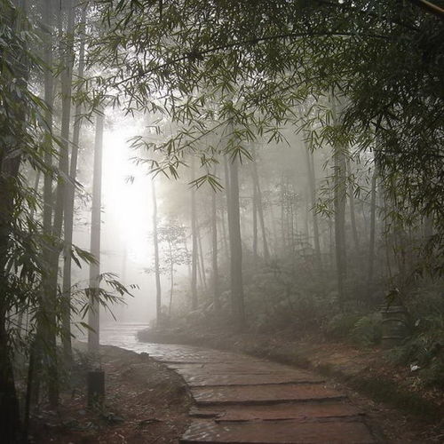 与秋雨有关的古诗句