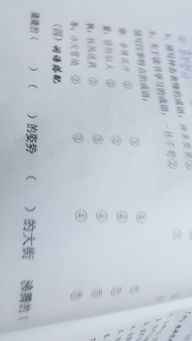 跟优柔寡断有关的诗句