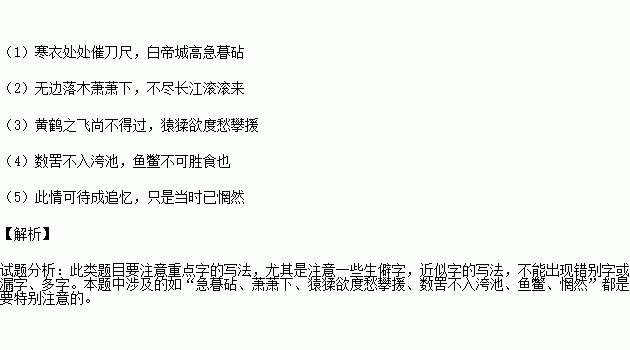 有关于用越寄托思乡之情的诗句