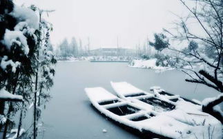 关于大雪节气的诗句古诗,写大雪节气的诗句,形容大雪节气的诗句