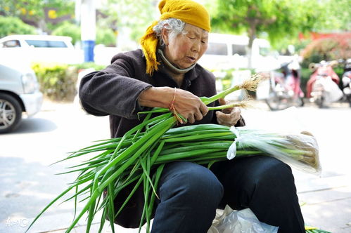 有关卖菜的诗句