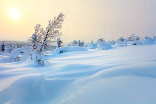 有关在雪中的诗句