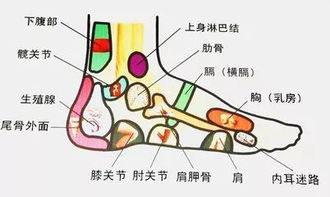 与洗脚有关的诗句