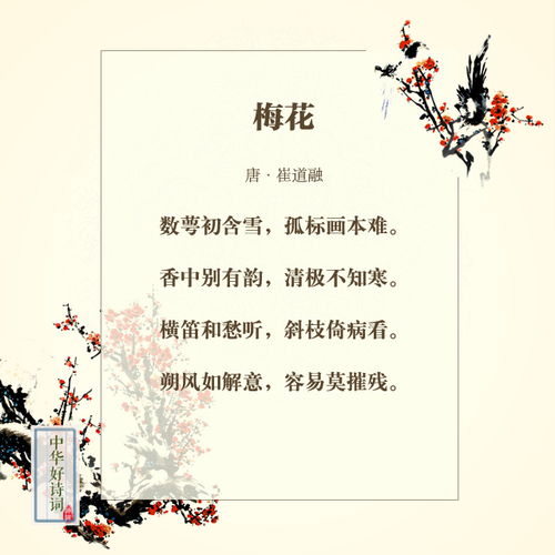 与兰花梅花有关的诗句