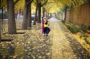 有关冬雨雨的诗句