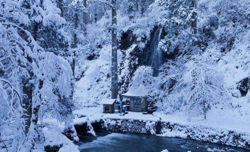 雪景,诗句