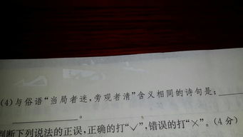 当局者迷旁观者清的有关诗句