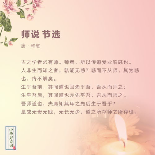 有关于赞老师的诗句有哪些