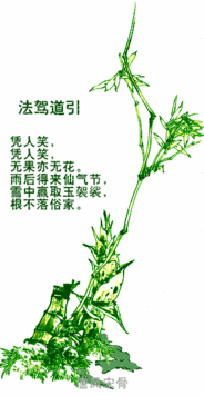 气节,诗句