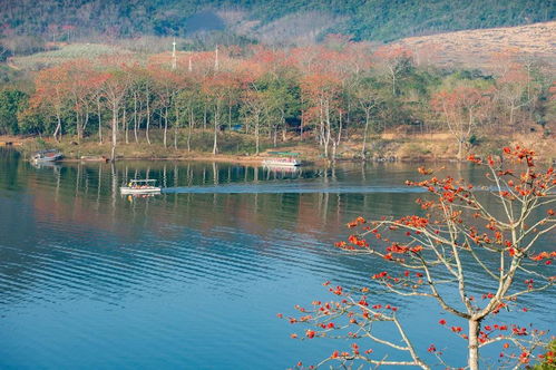 祖国大好河山的诗句有哪些,赞美祖国的大好江山诗句,祖国美好江山的诗句